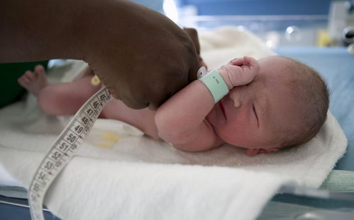 新生儿出生后的三个关键阶段 从分离到重逢，宝妈请理解临时看护的意义